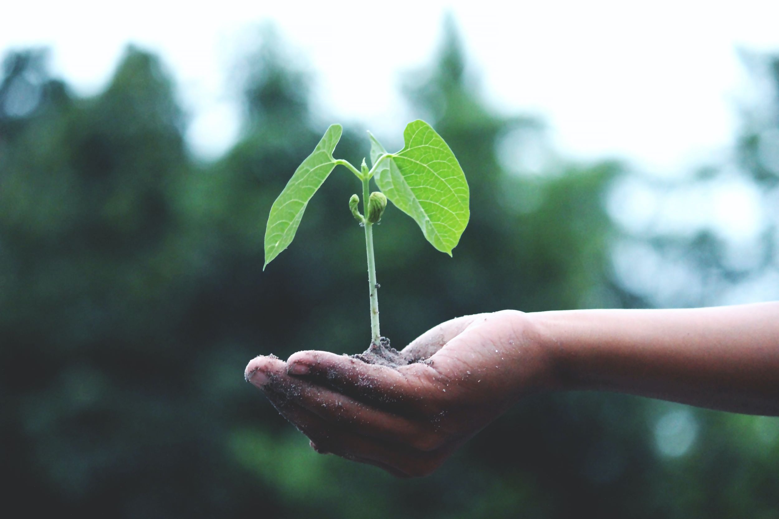 Sustainable Investing Sustainable-Investing